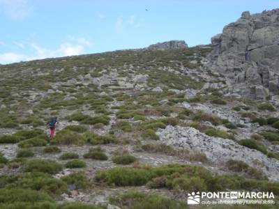 Ruta Cuerda Larga - Subida a La Najarra; rutas por la sierra de madrid; la panera el espinar